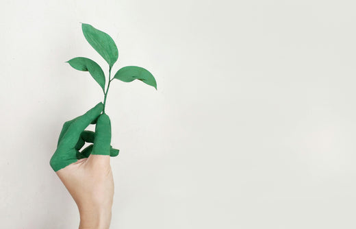 How to Transition to a Low-Waste Beauty Routine